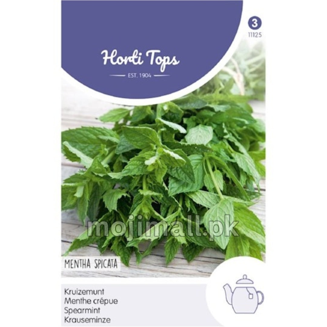 Spearmint – Horti tops Seeds (Imported - Limited Stock)
