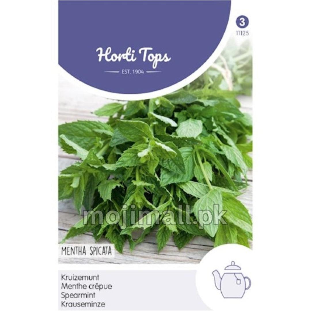 Spearmint – Horti tops Seeds (Imported - Limited Stock)