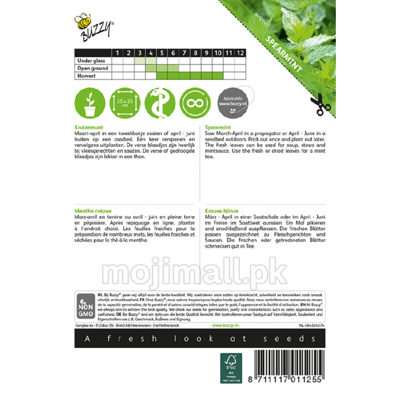 Spearmint – Buzzy Seeds (Imported - Limited Stock)-Moji Mall