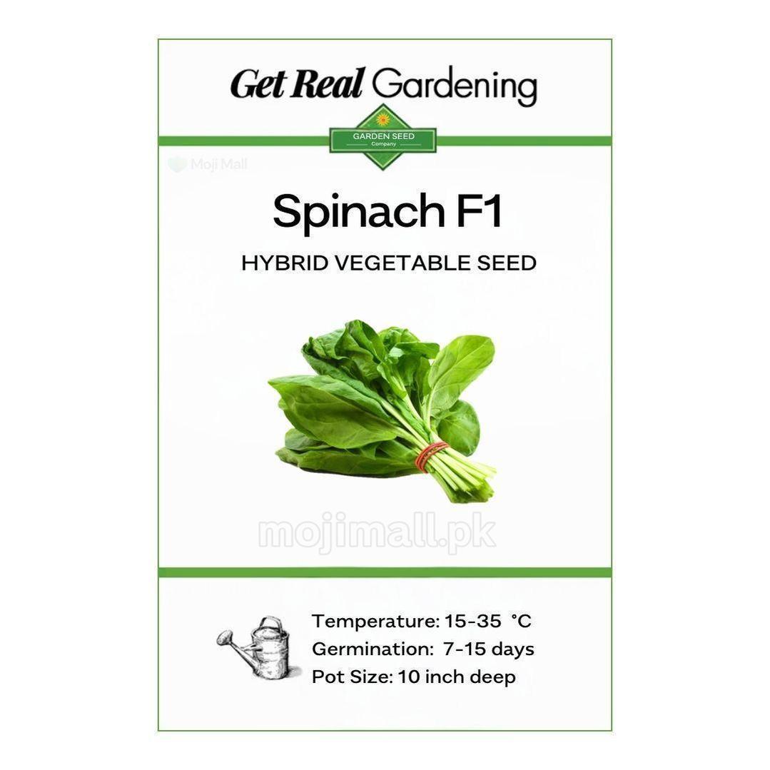 Spinach – F1 Hybrid Seeds-Moji Mall