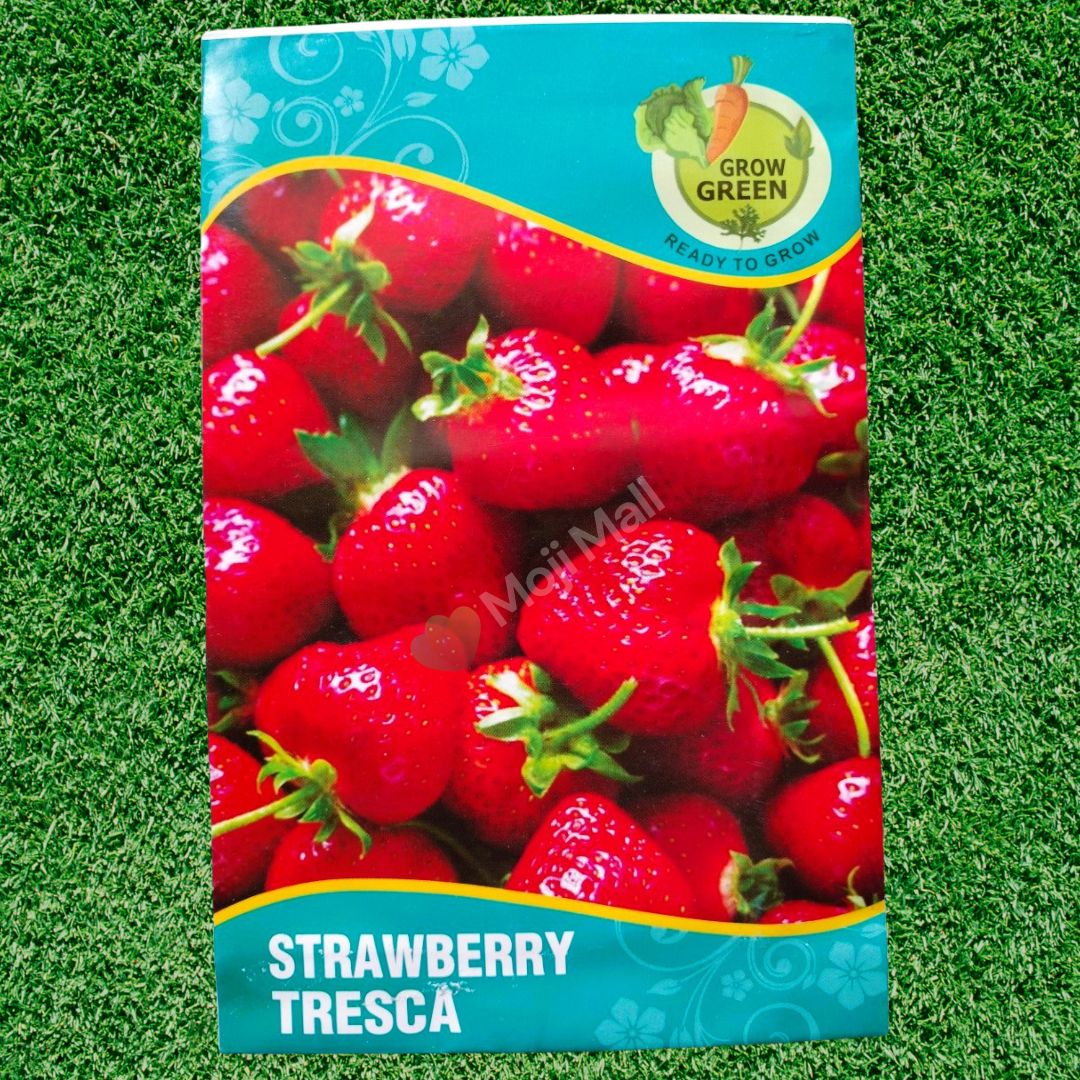Strawberry (100+ Seeds)