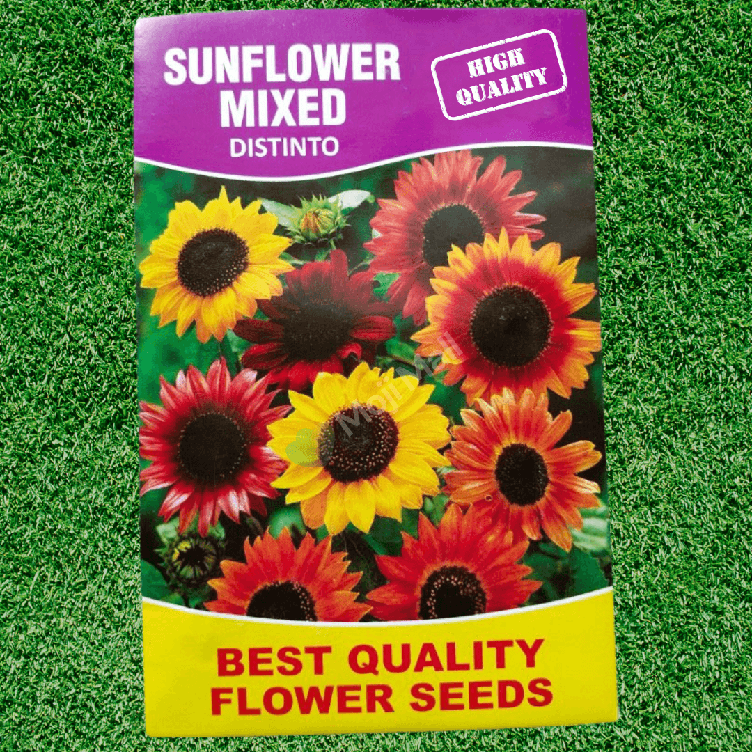 Sunflower (Mix) – Seeds (SUMMER)