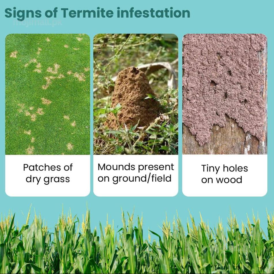 Duraflex – Termite Killer for Plants (250ML)-Moji Mall