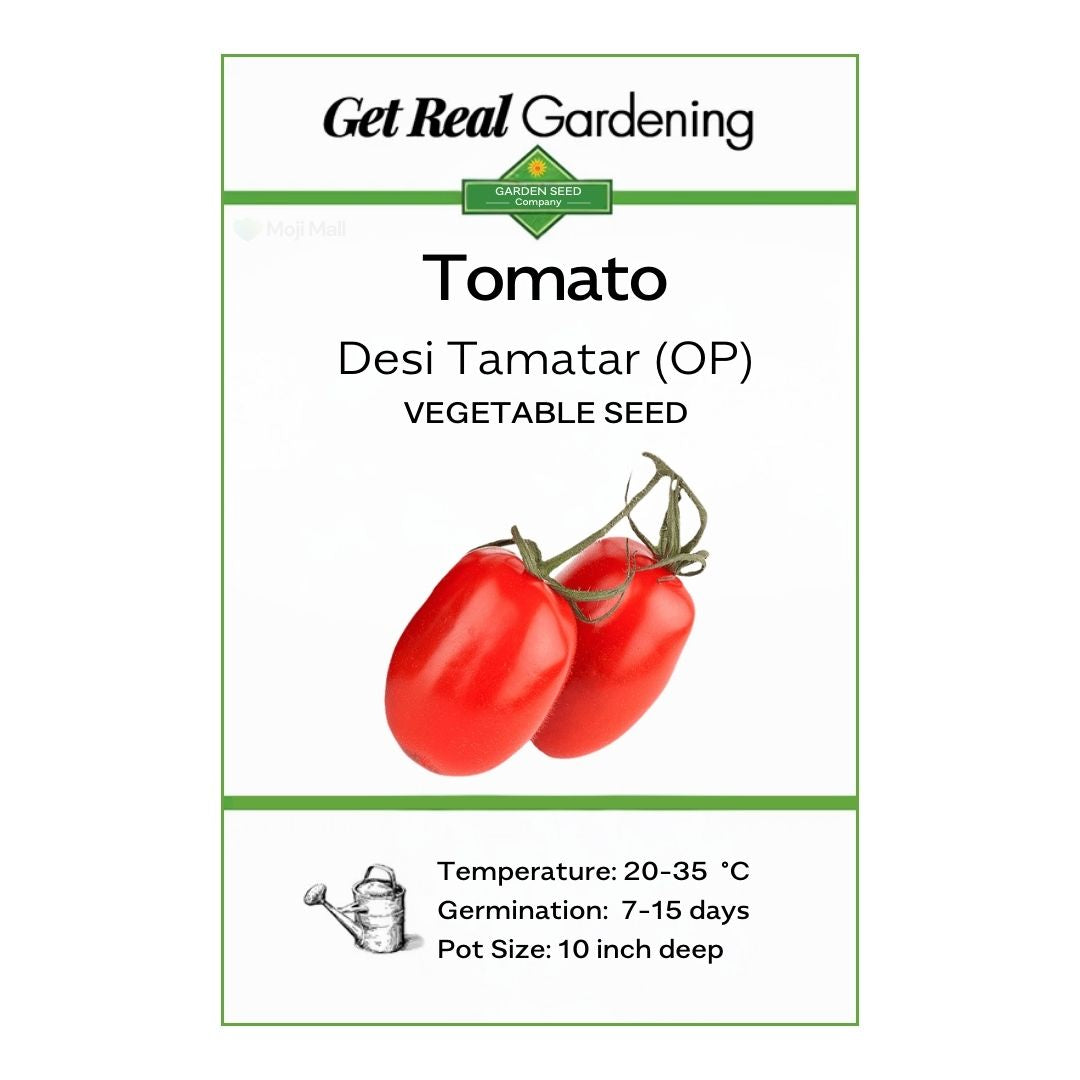 Tomato (دیسی ٹماٹر کے بیج) – 100+ Seeds