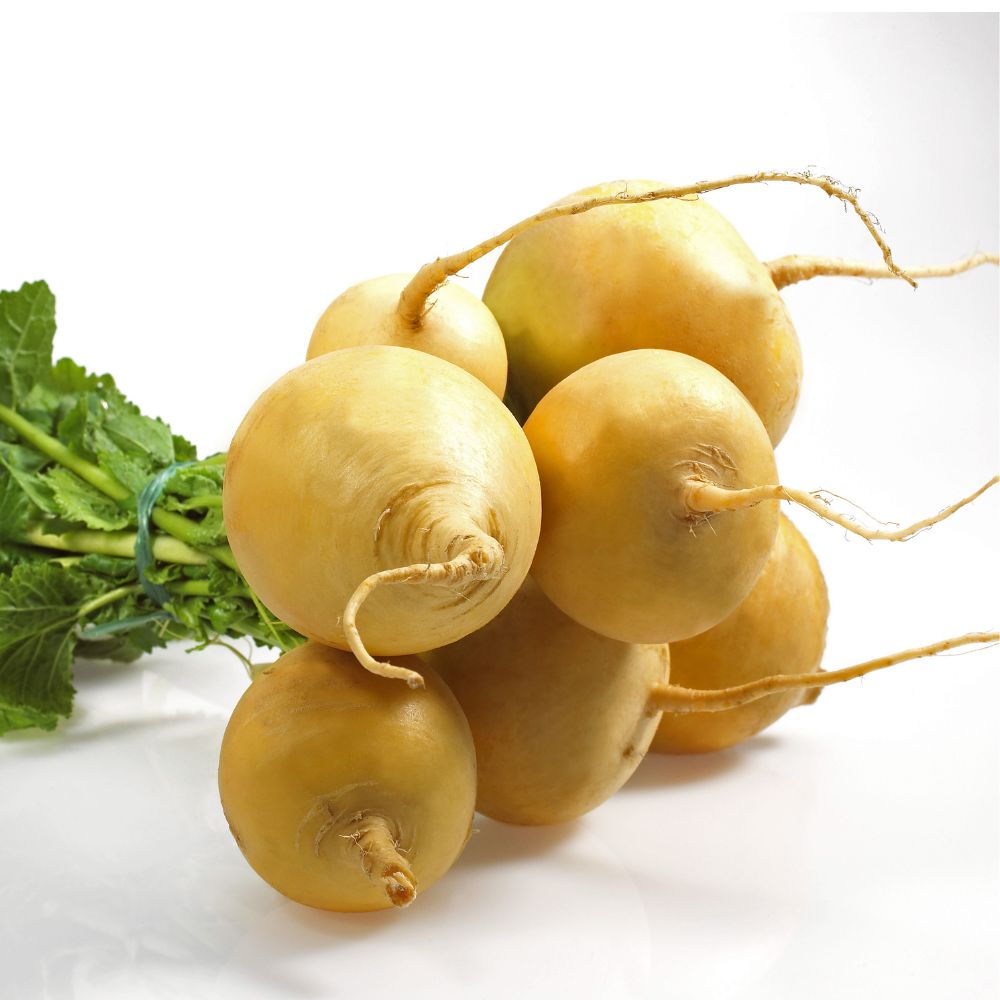 Turnip Yellow (دیسی پیلے شلجم کے بیج) – 200+ Seeds