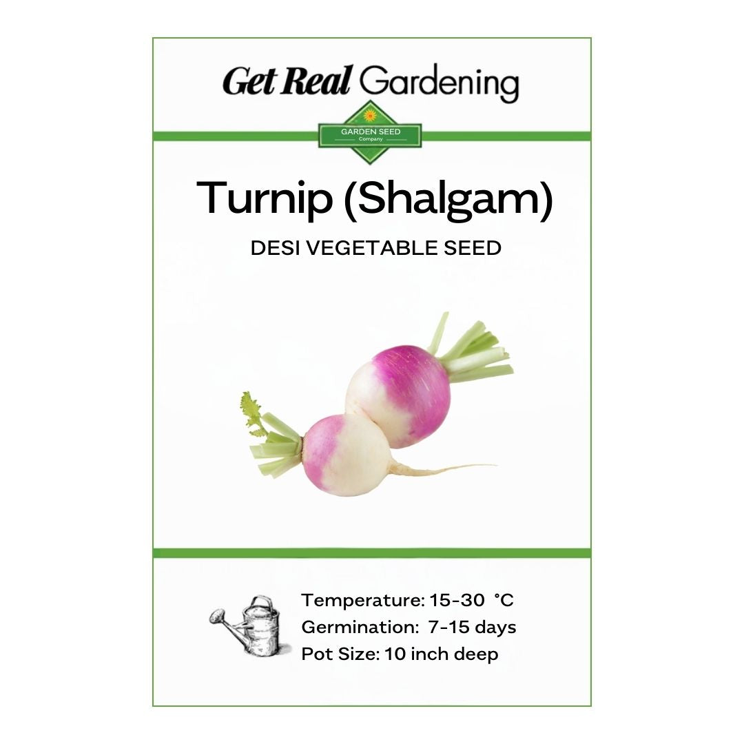 Turnip (دیسی شلجم کے بیج) – 100+ Seeds