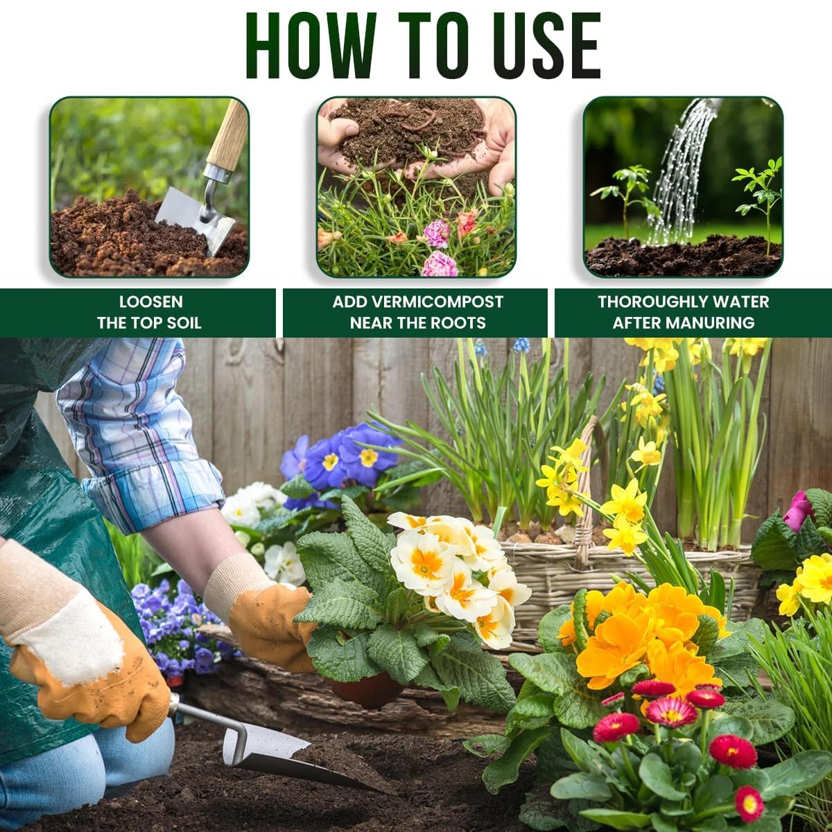 Vermicompost – Organic Fertilizer