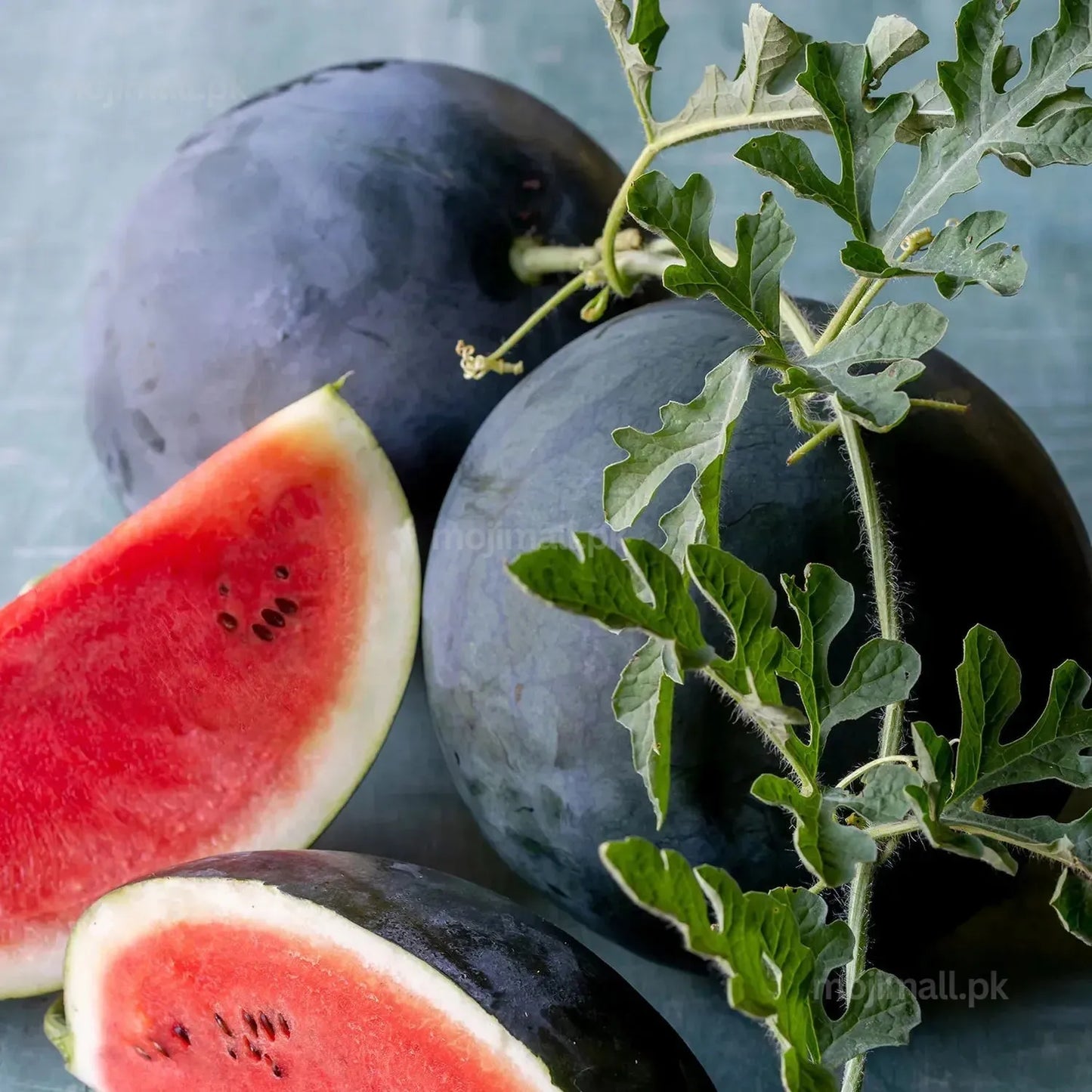 Watermelon (تربوز کے بیج) Seeds-Moji Mall