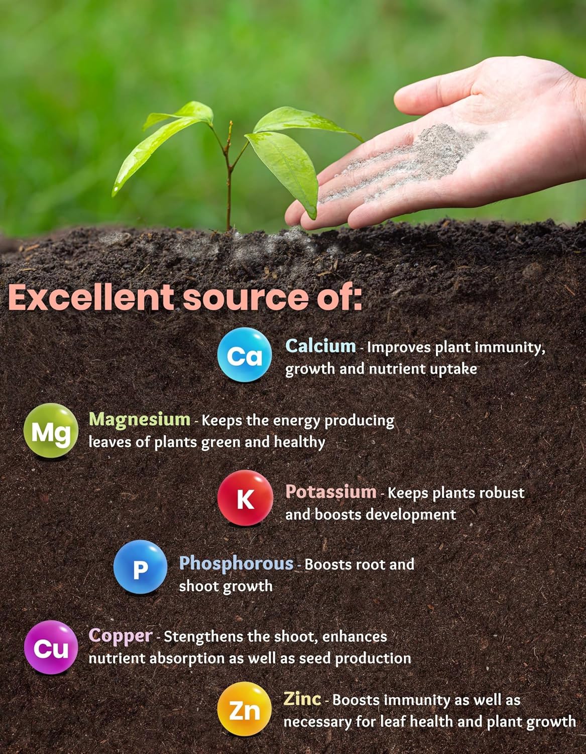 Wood Ash (Pure) – Organic Fertilizer