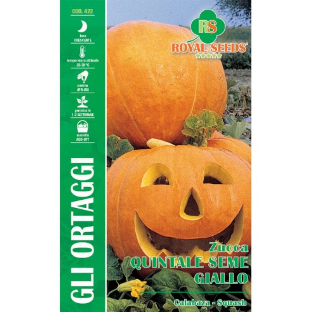 Pumpkin Seeds – Yellow