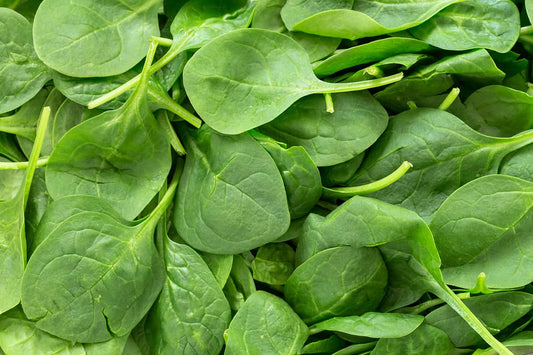 Spinach palak growing in a home garden in Pakistan - Moji Mall