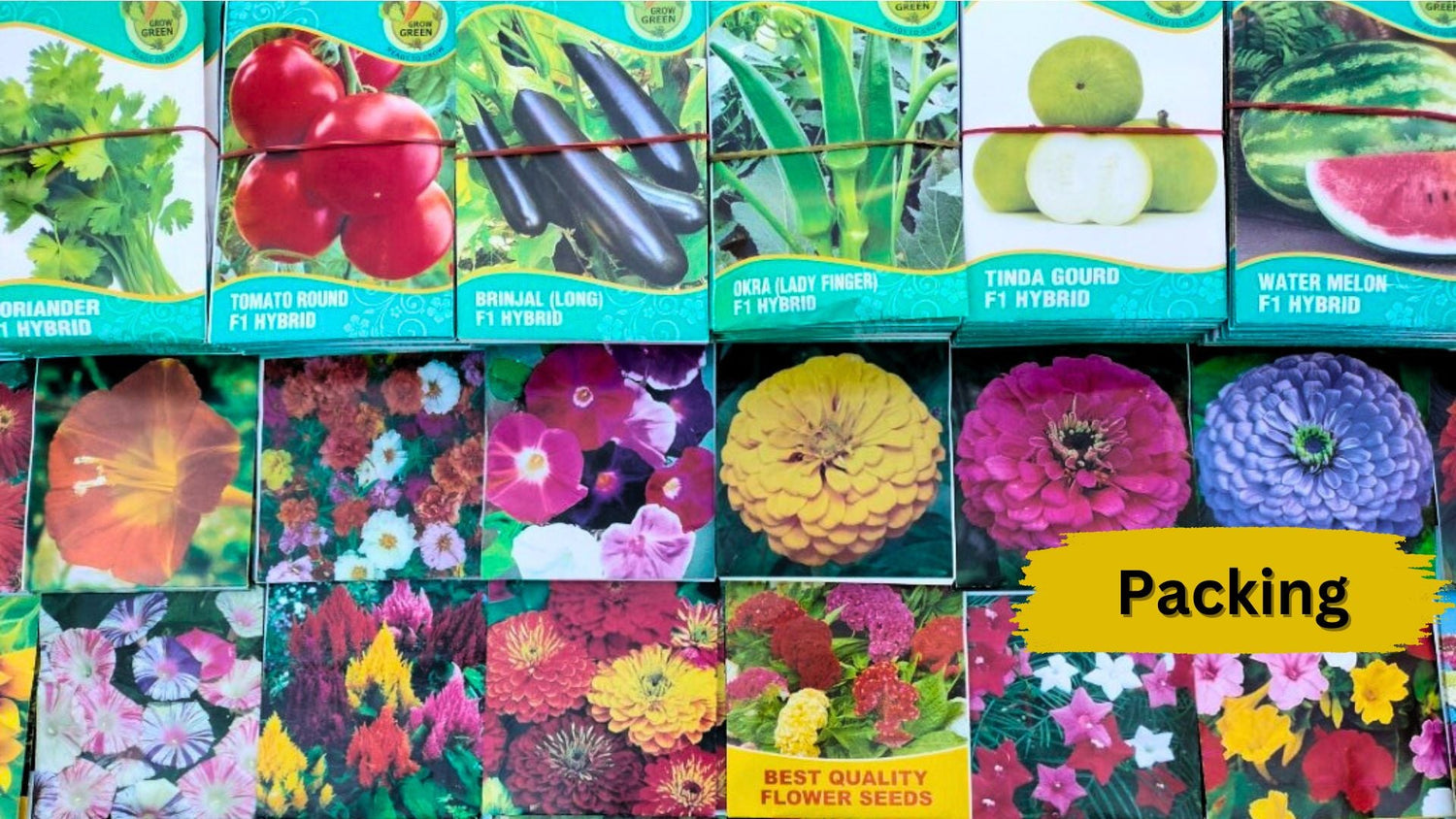 Summer Seeds & Bulbs