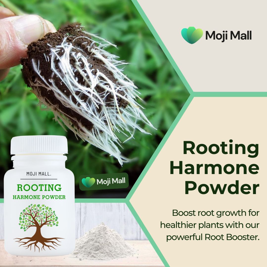 Rooting Hormone Powder – Fast Root Growth for Cuttings – Moji Mall