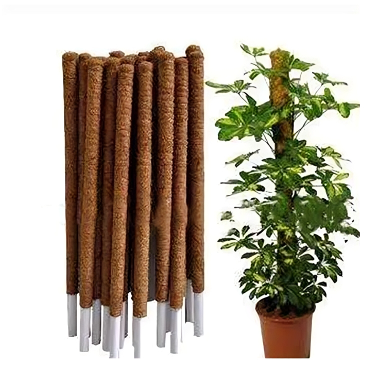 Moss stick - Coco Pole Plant support