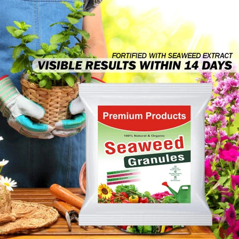 Seaweed Granules (UAE-imported)
