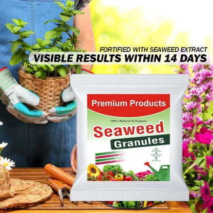 Seaweed Granules (UAE-imported)