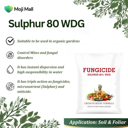 Fungicide Powder - Sulphur 80