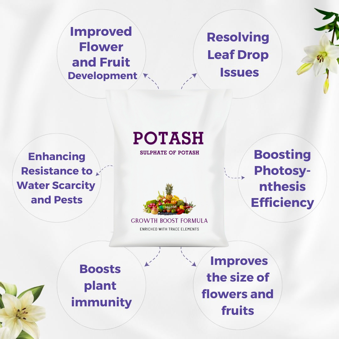 Potash Fertilizer