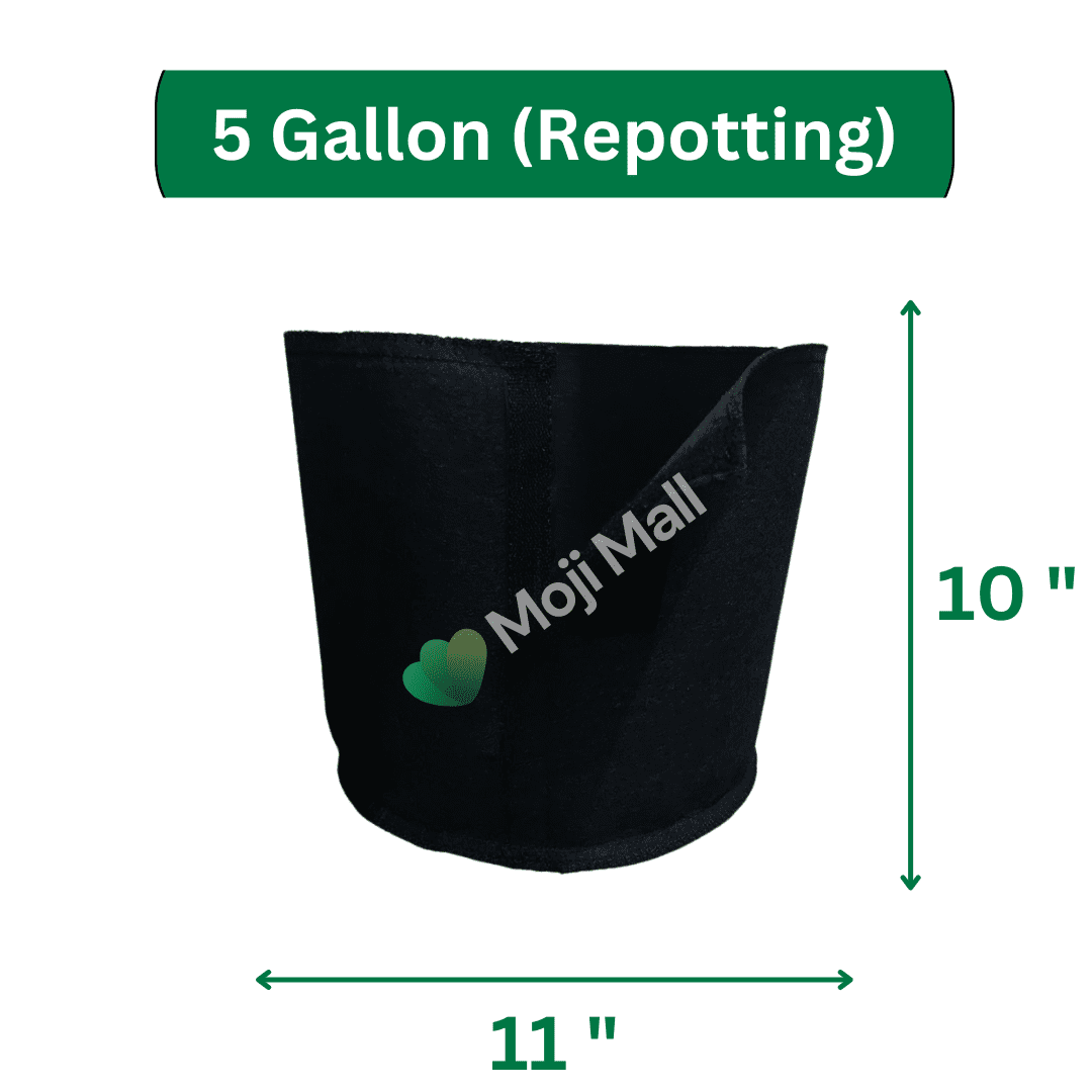 Repotting Grow Bag