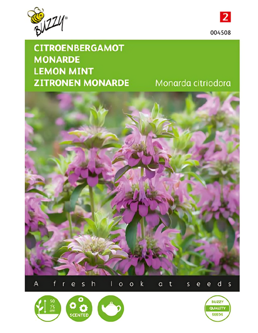 Lemon Mint – Seeds