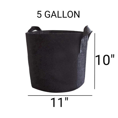 Deal of 3 Grow Bags (10x11 INCHES)