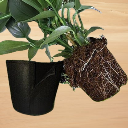 Repotting Grow Bag