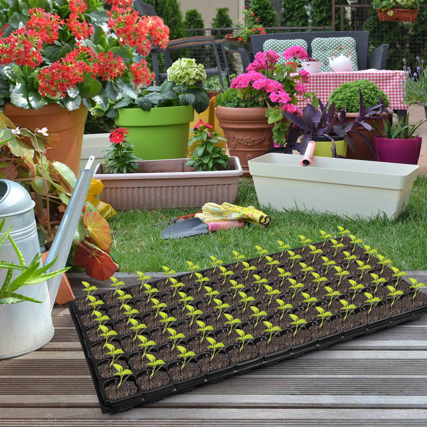 Seedling Tray – 72 Holes 3.5 inch deep (imported)