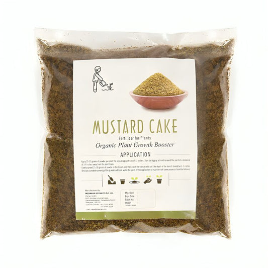 Mustard Cake Powder