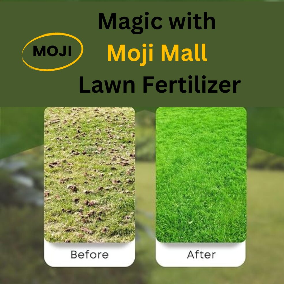 Lawn Fertilizer