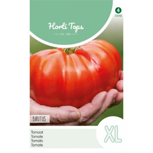 Tomato Brutus XL – Horti Tops Seeds (Imported - Limited Stock)
