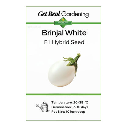 Brinjal White – F1 Hybrid 20+ Seeds