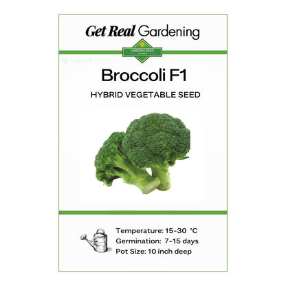 Broccoli (بروکلی) – F1 Hybrid 25+ Seeds
