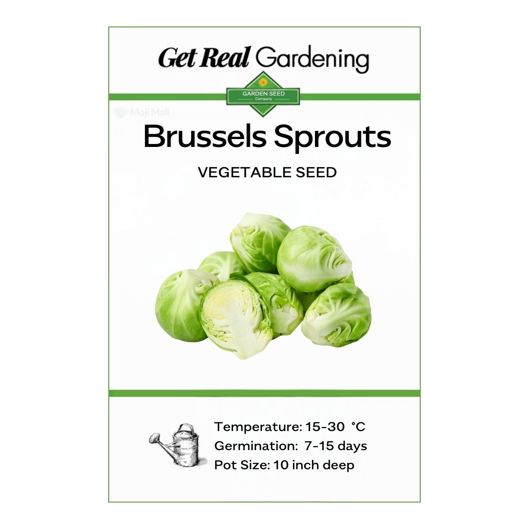 Brussels Sprouts – 30+ Seeds