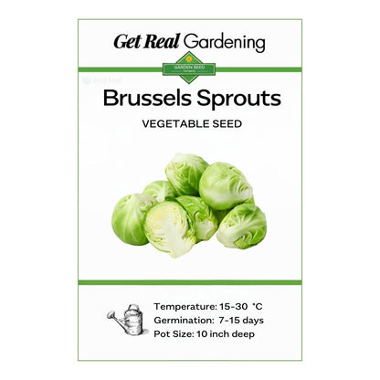 Brussels Sprouts – 30+ Seeds
