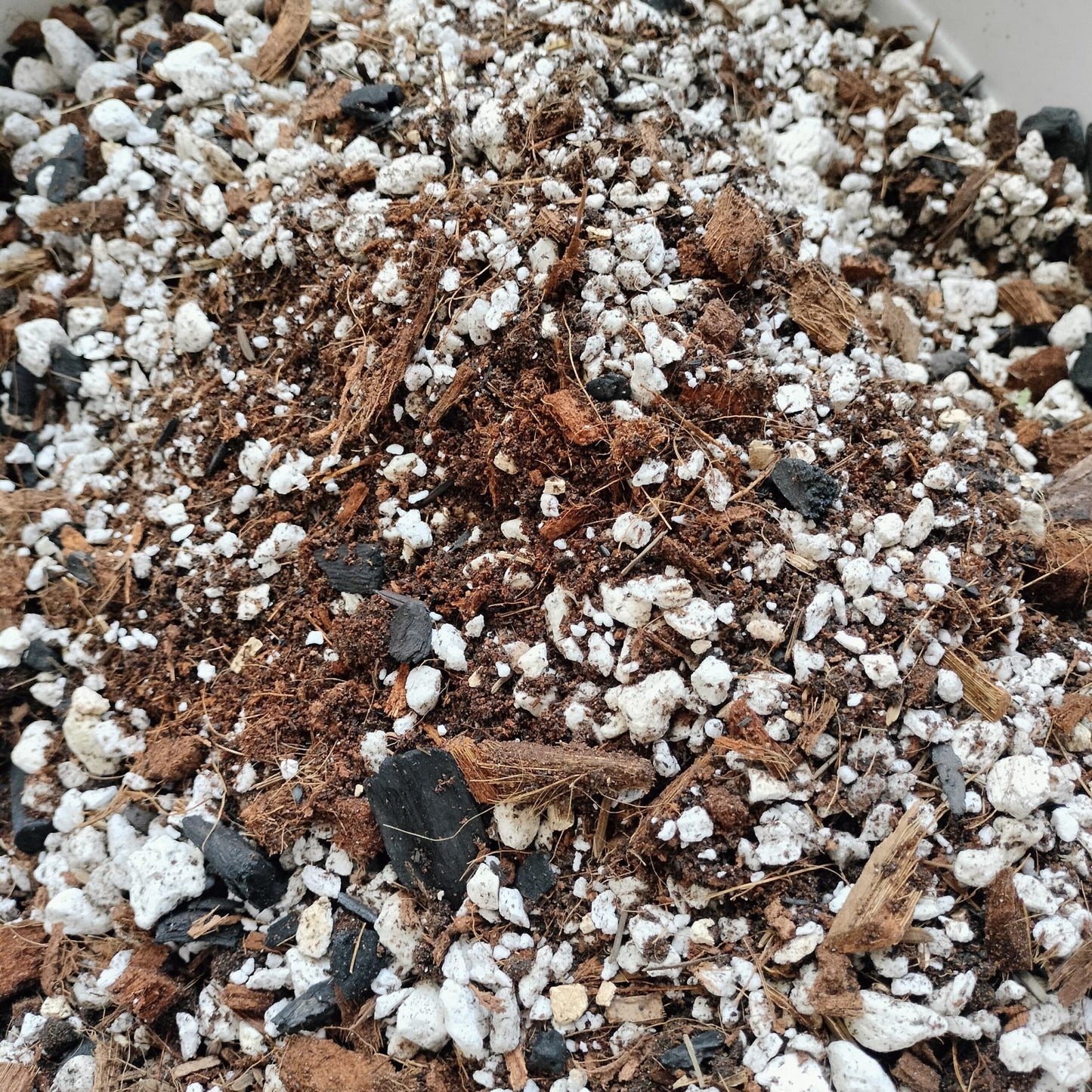 Cactus & Succulent Soilless Potting Mix