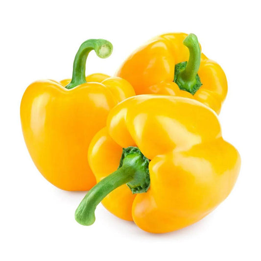 Capsicum Yellow F1 - Seeds