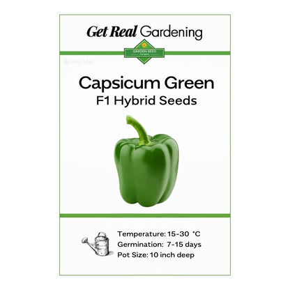 Capsicum Green – F1 Hybrid 25+ Seeds