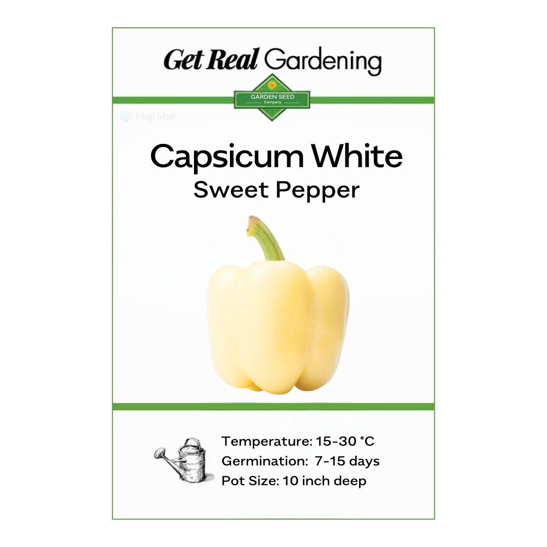 Capsicum White – F1 Hybrid 10 Seeds