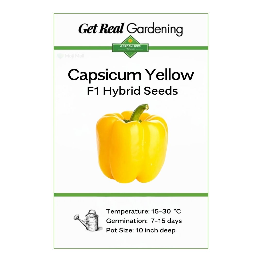Capsicum Yellow – F1 Hybrid 10 Seeds