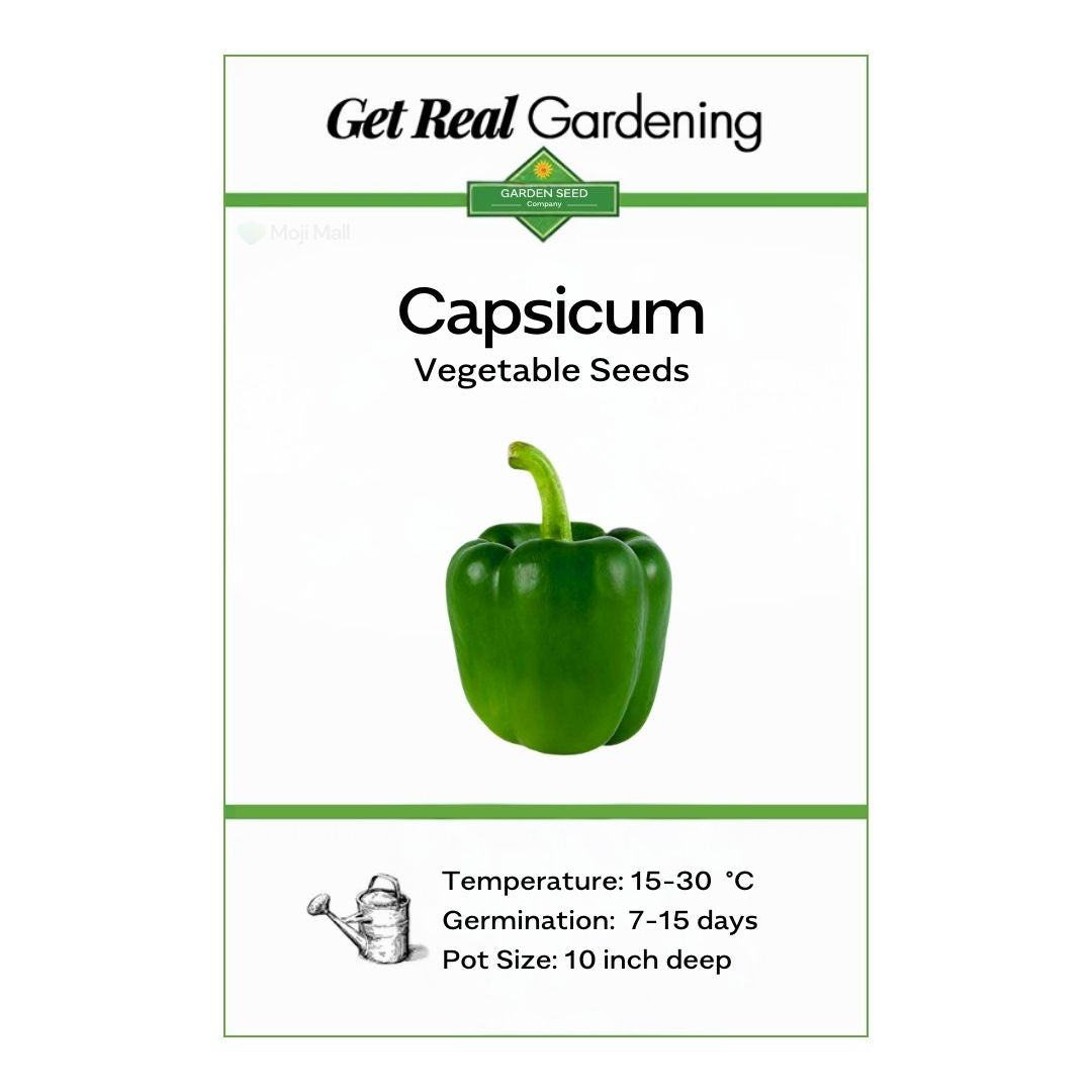 Capsicum Green (دیسی شملہ مرچ کے بیج) – 40+ Seeds