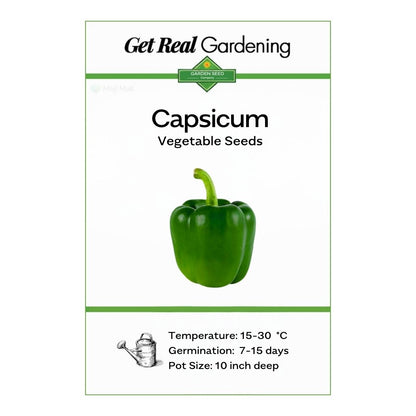 Capsicum Green (دیسی شملہ مرچ کے بیج) – 40+ Seeds