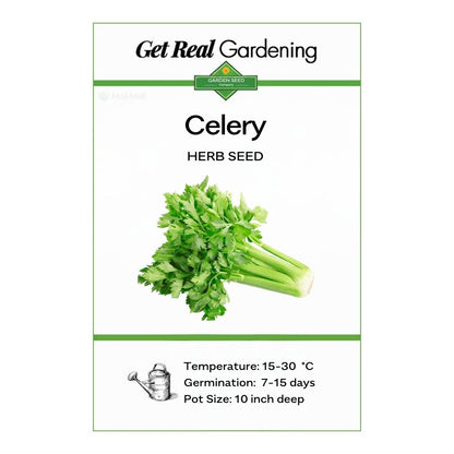 Celery (سیلری  کے بیج) – 100+ Seeds