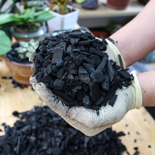 Coal Chips