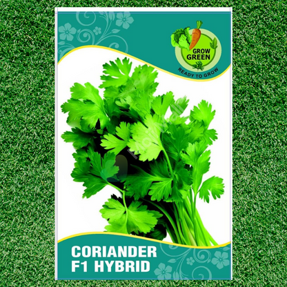 Coriander (Dhaniya, دھنیا) - F1 Hybrid - 450+ Seeds