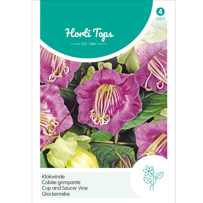 Cup and Saucer Vine Purple – Horti Tops Seeds (Imported - Limited Stock)
