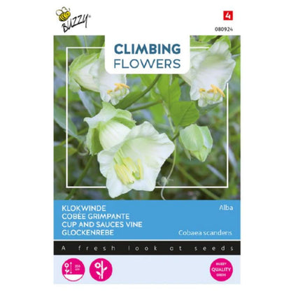 Cup And Sauces Vine White - Buzzy Seeds (imported - Limited Stock)-Moji Mall