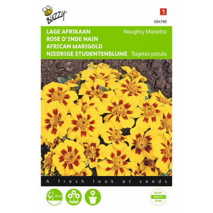 French Marigold Naughty Marietta – Buzzy Seeds (Imported - Limited Stock)