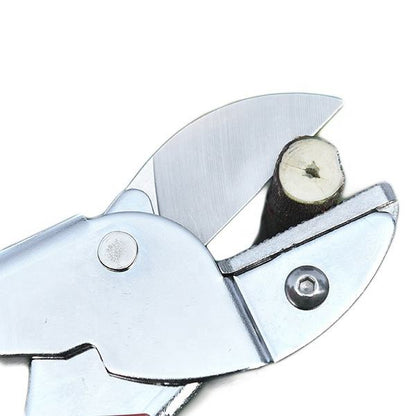 Garden Scissors (imported)