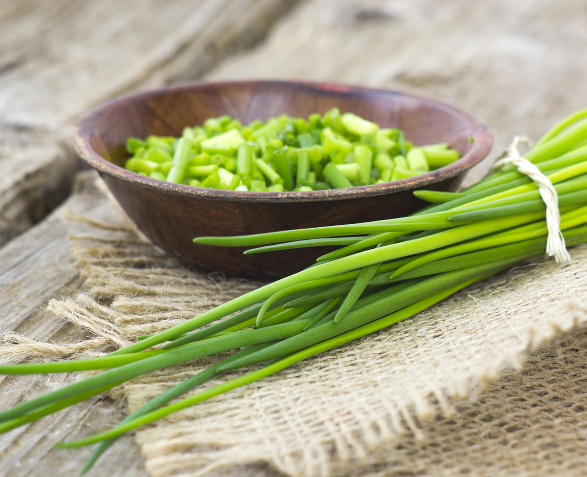 Garlic Chives – Seeds