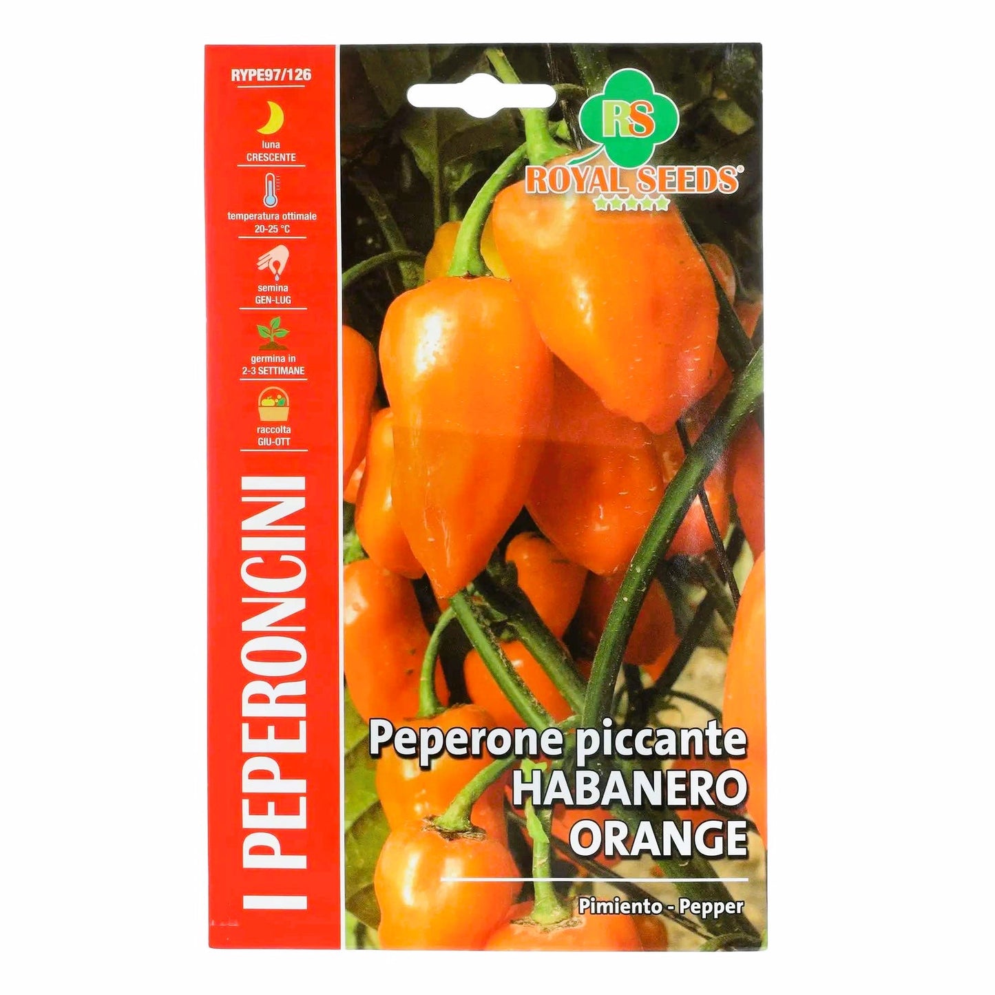 Habanero Pepper - Hot Orange